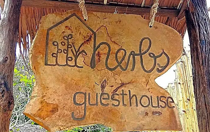 Herbs And Restaurant Near The Sea (adults Only) Gasthuis Moalboal